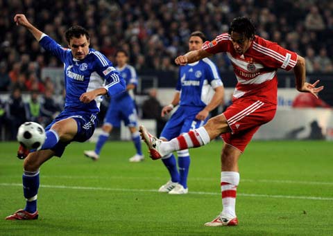 的饮食结构 的饮食结构